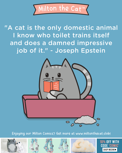 Wednesday Wisdom: Toilet Training