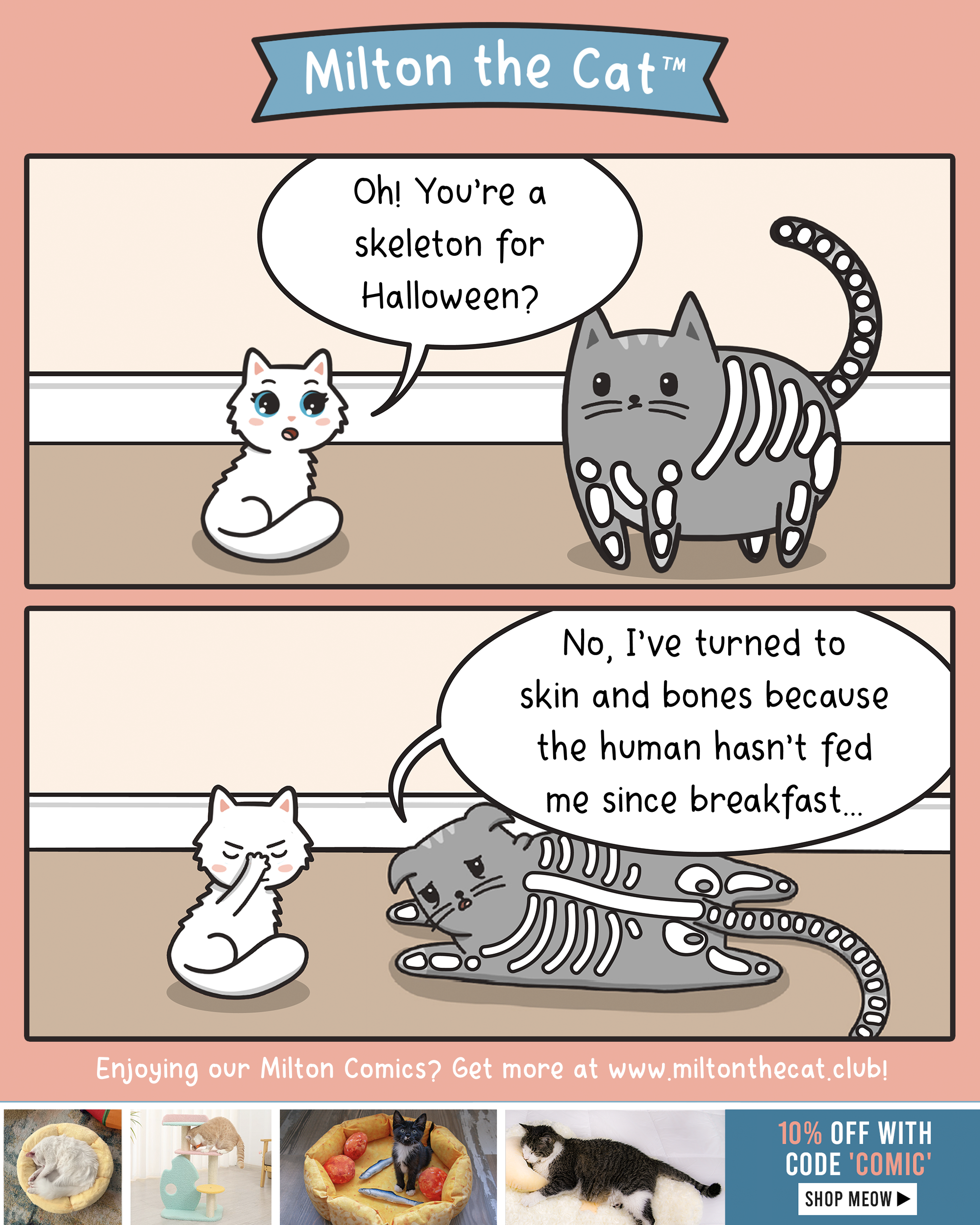 What about second breakfast? Meowingtons