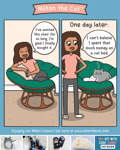 TBT: New Cat Bed
