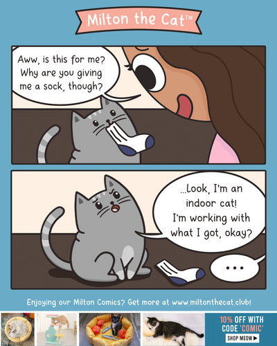 Indoor Cat Gifts