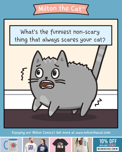 Answer: What Scares Your Cat?