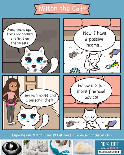Financial Advice