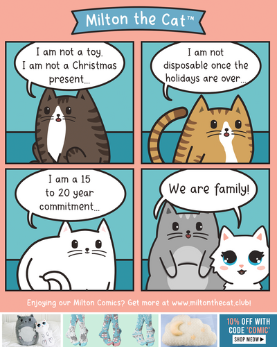 Cats Are Not Gifts