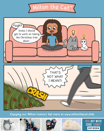 A Helping Paw