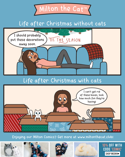 Christmas Cleanup (With Cats)