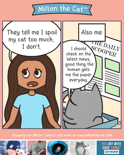 Litter Box Litter-ature