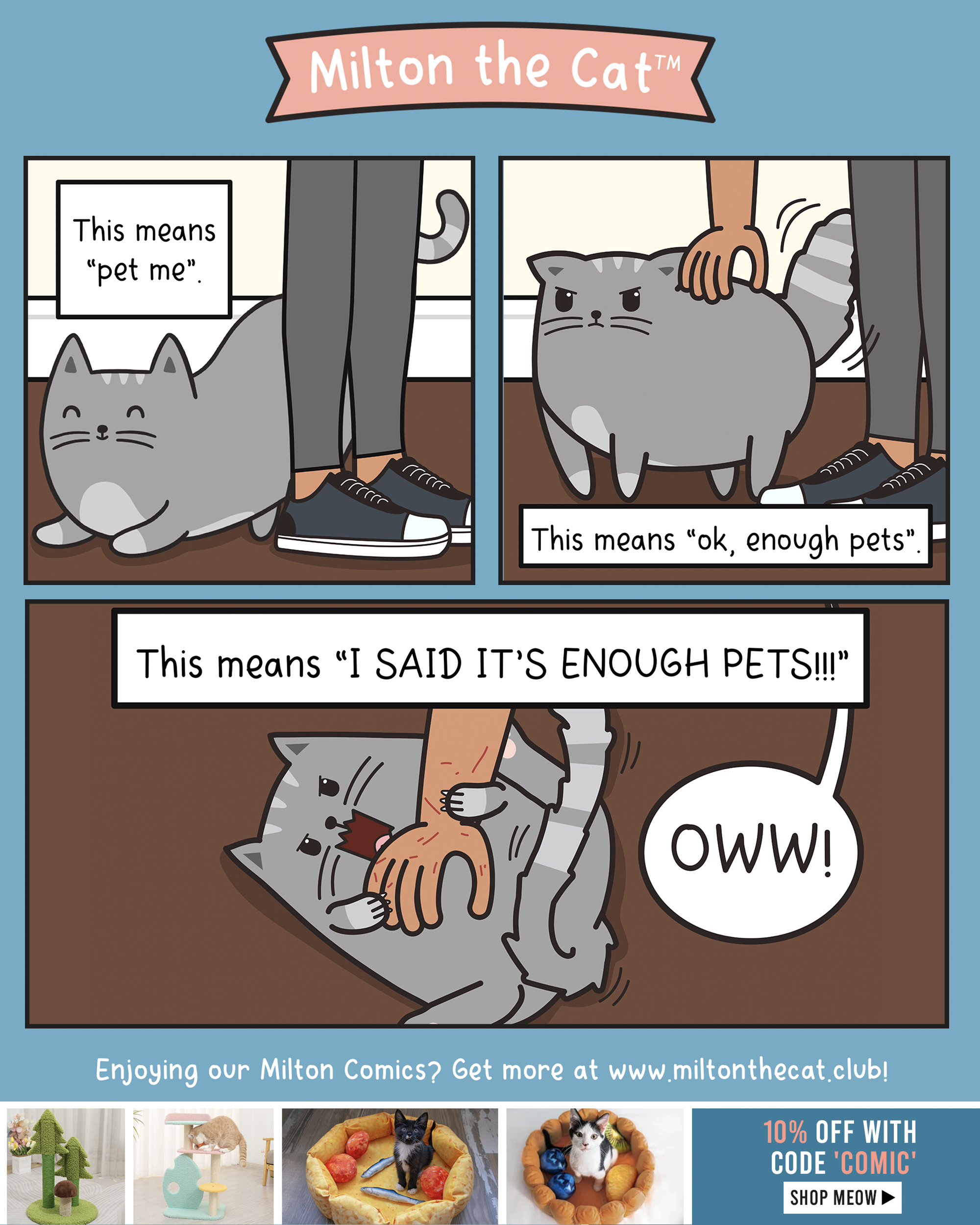 TBT: Cat Body Language Translation Guide – Meowingtons