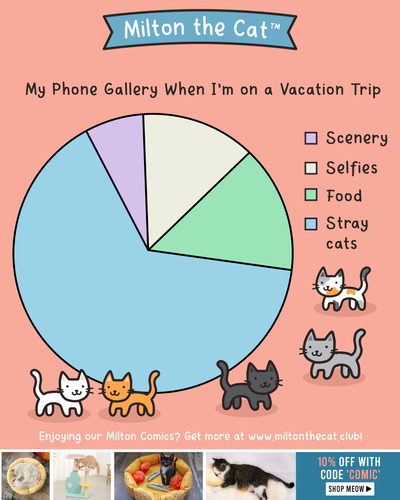 My Vacation Photos