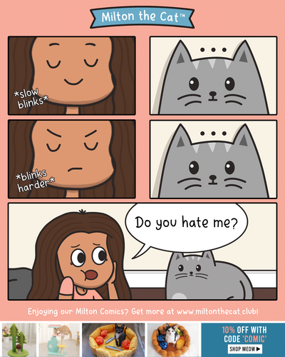 TBT: Do You Hate Me?