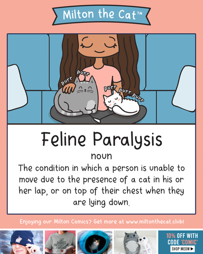 Feline Paralysis