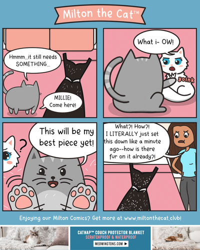TBT: A Meowsterpiece