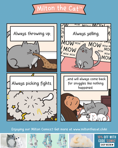 Drunk Friends And Cats
