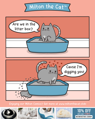 Valentine's Day Card: Litterally