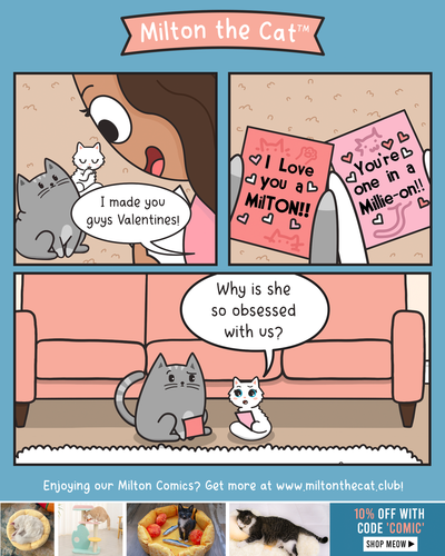 Valentines For My Cats