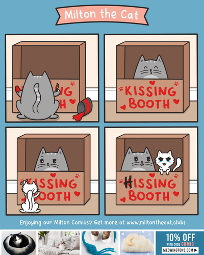 Valentines Kissing Booth