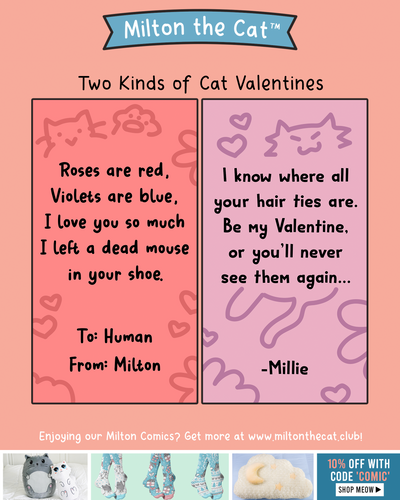 Happy Valentine's Day!
