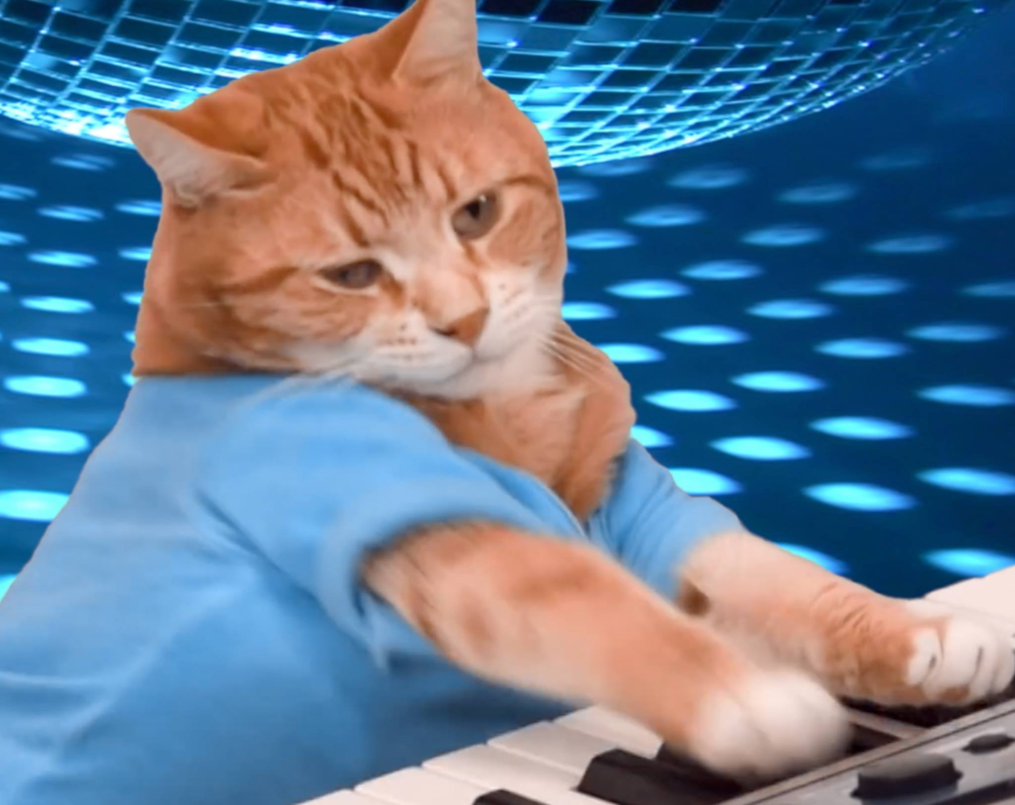 RIP Bento, Legendary Keyboard Cat and Master of Synth Meowingtons