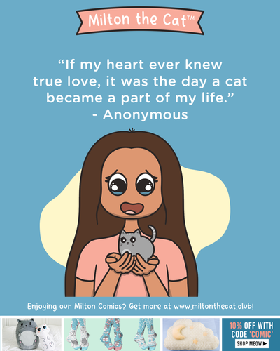 Wednesday Wisdom: True Love