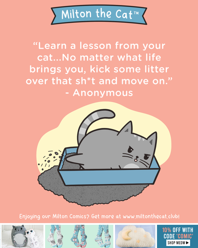 Wednesday Wisdom: Litter Box Lessons
