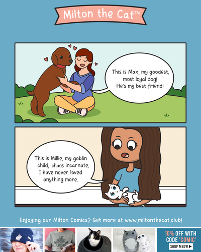 Dog Parents Vs Cat Parents