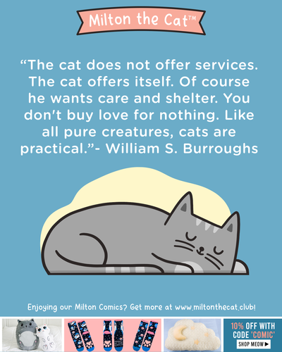 Wednesday Wisdom: William S. Burroughs