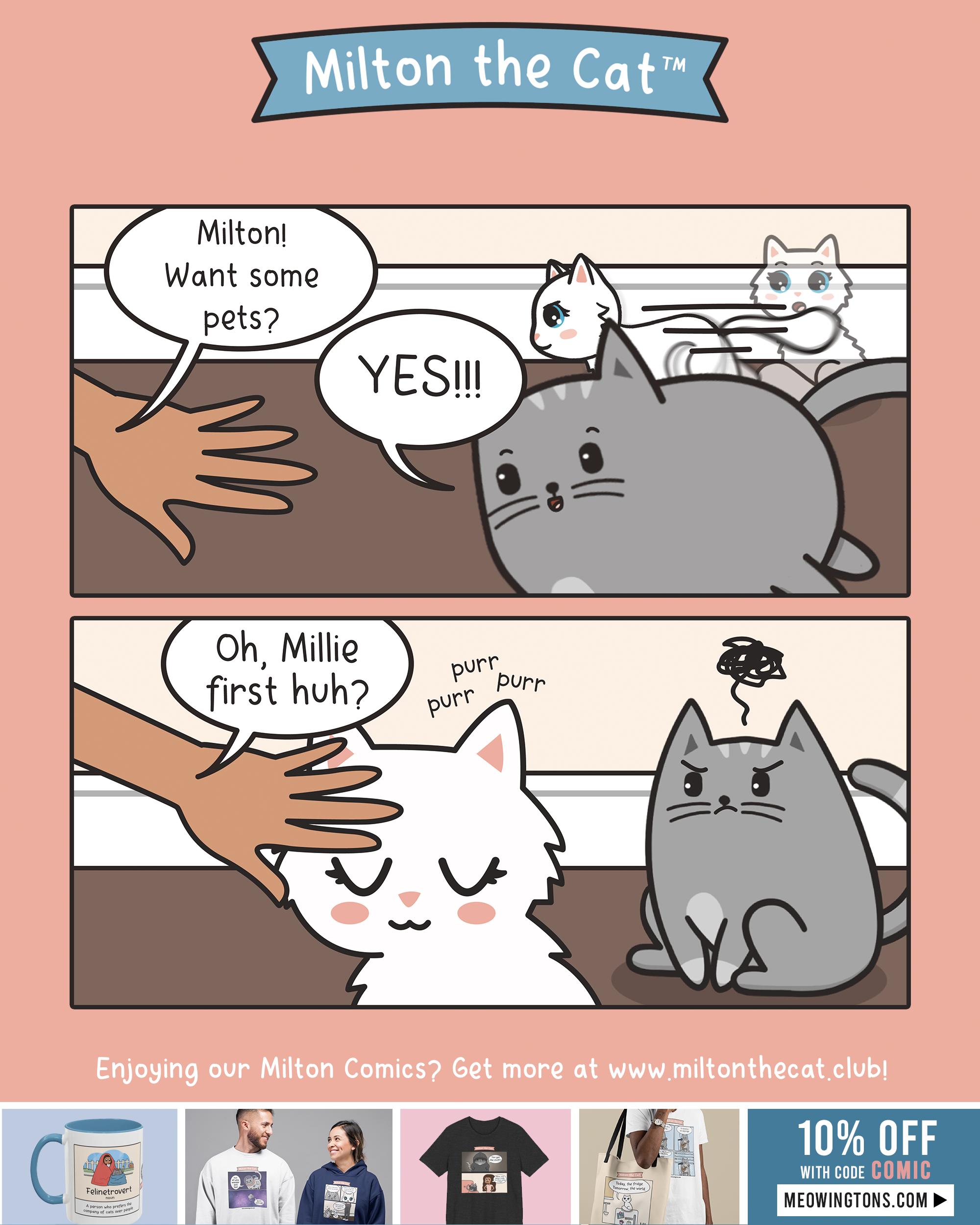 A Race for Pets – Meowingtons