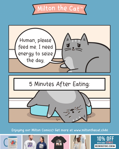 Food Gives You Energy!!!!! To Nap.