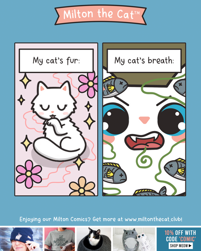 Cat Fur Vs Cat Breath