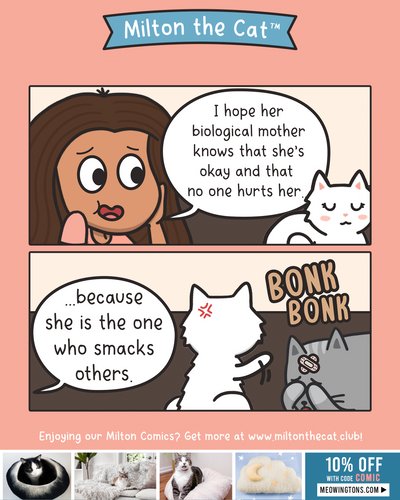 Millie's Paws Are Rated E For Everyone