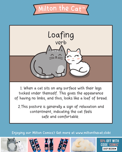 Definition: Loafing