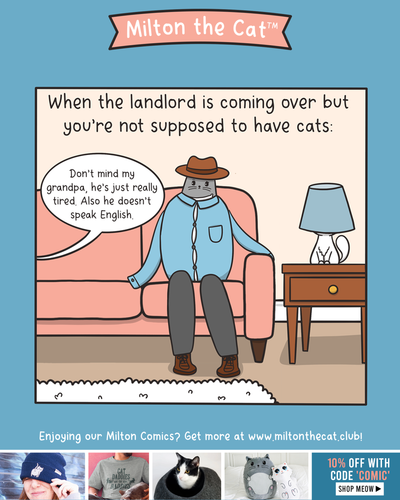TBT: Landlord Woes