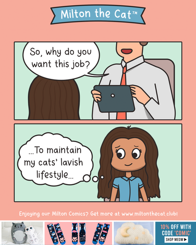 I Work Hard So My Cats Can Have a Better Life