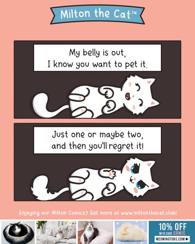 A Little Rhyme For Mew