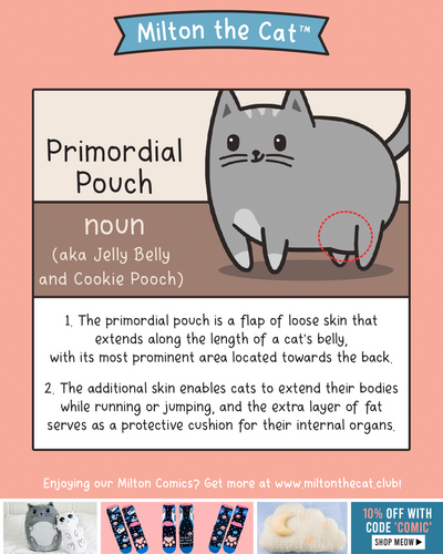 Cat Vocabulary: Primordial Pouch