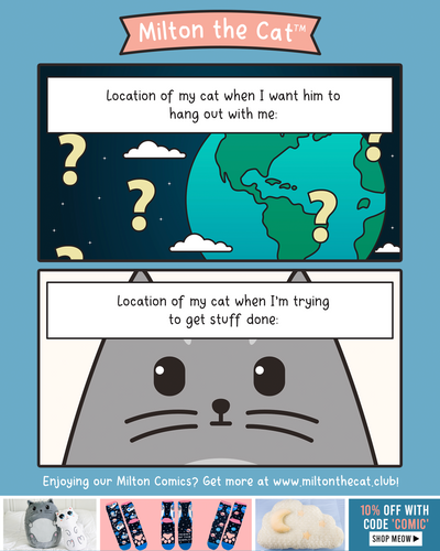 Throwback Thursday: A Cat's Sixth Sense