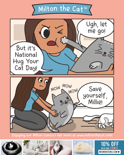 Happy National Hug Your Cat Day!