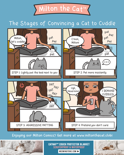 How To Convince Your Cat to Cuddle