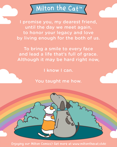 On This World Pet Memorial Day...