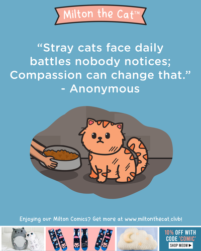 Wednesday Wisdom: Stray Cat Battles