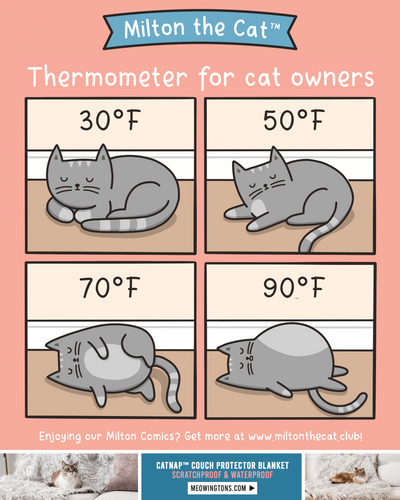 Throwback Thursday: Thermometer For Cat Owners