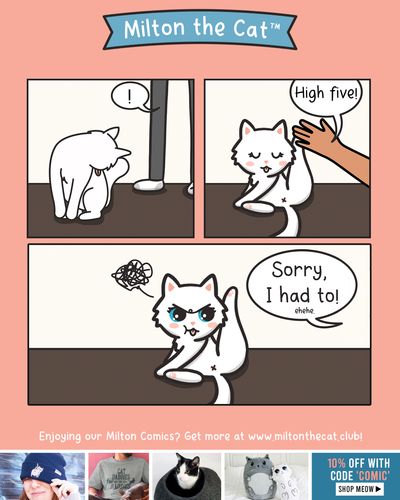 High Five!
