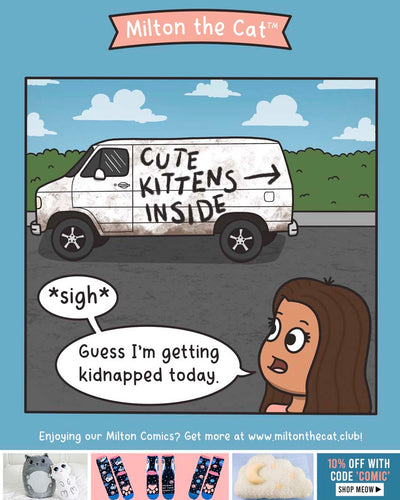 Happy National Kitten Day