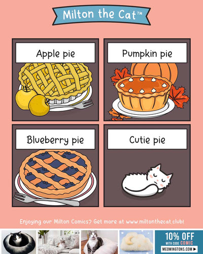Types of Pies