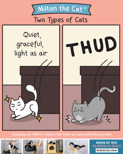 Which is Yours?