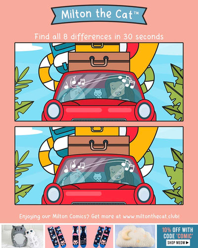 Spot the Difference: Summer Road Trip