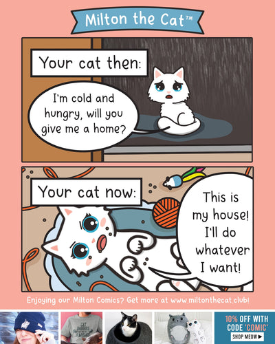 Your Cat: Then Vs Meow