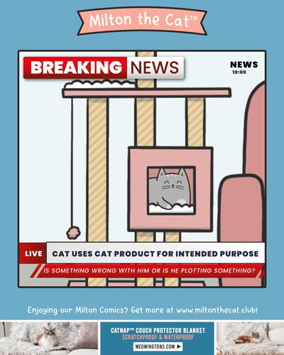 BREAKING NEWS!