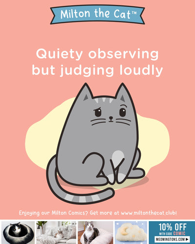 Wednesday Wisdom: Definitely Judging