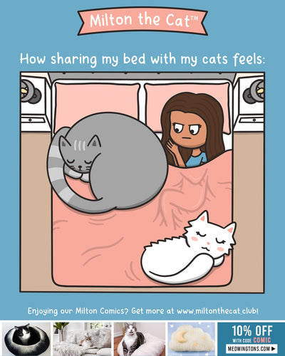 TBT: Sharing The Bed With Cats