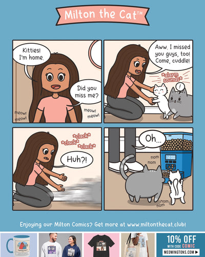 The Automatic Feeder